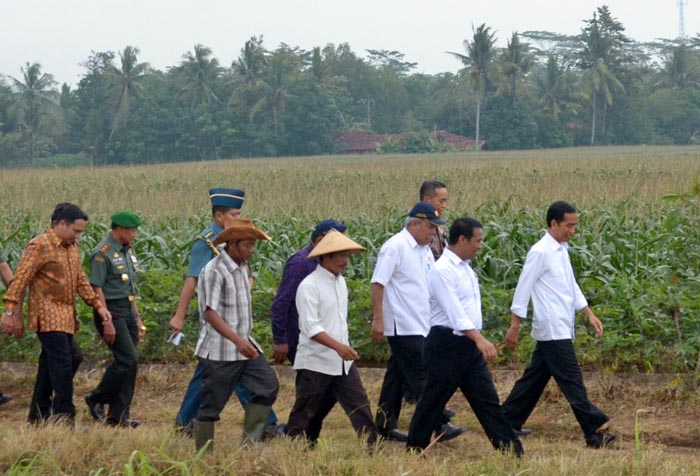 Jokowi: Pemerintah Perlukan Data Tunggal Bangun Pertanian Nasional
